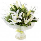 Lilies and foliage